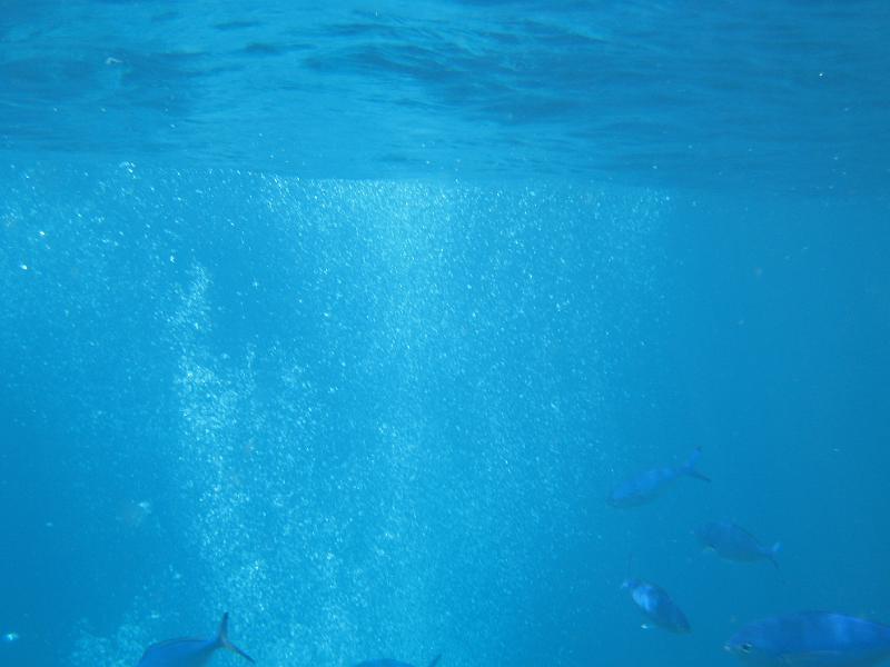 trip_bali 300 